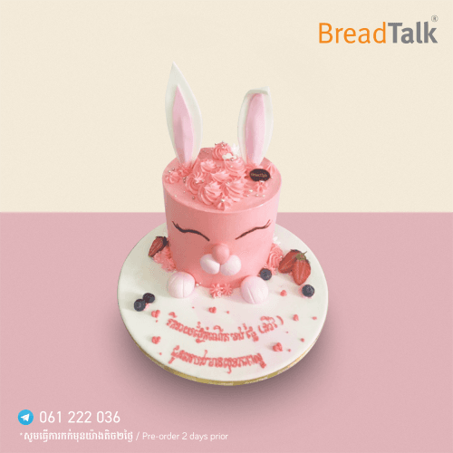 Special Cake Design